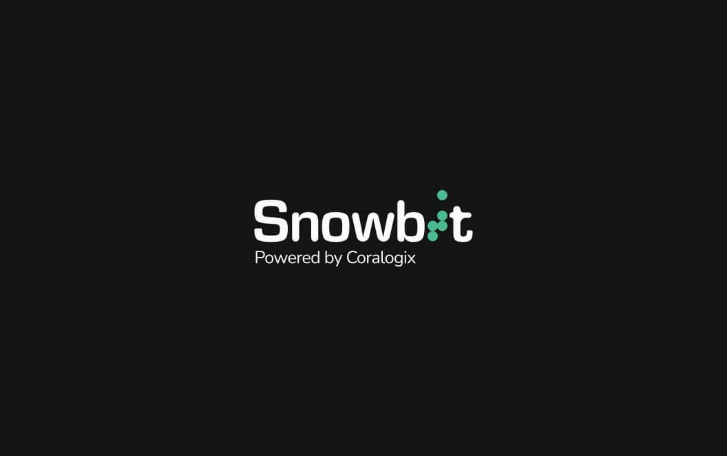 Snowbit logo option 1