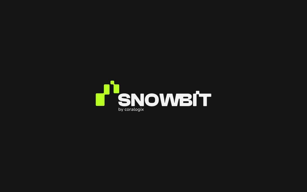 Snowbit logo option 2