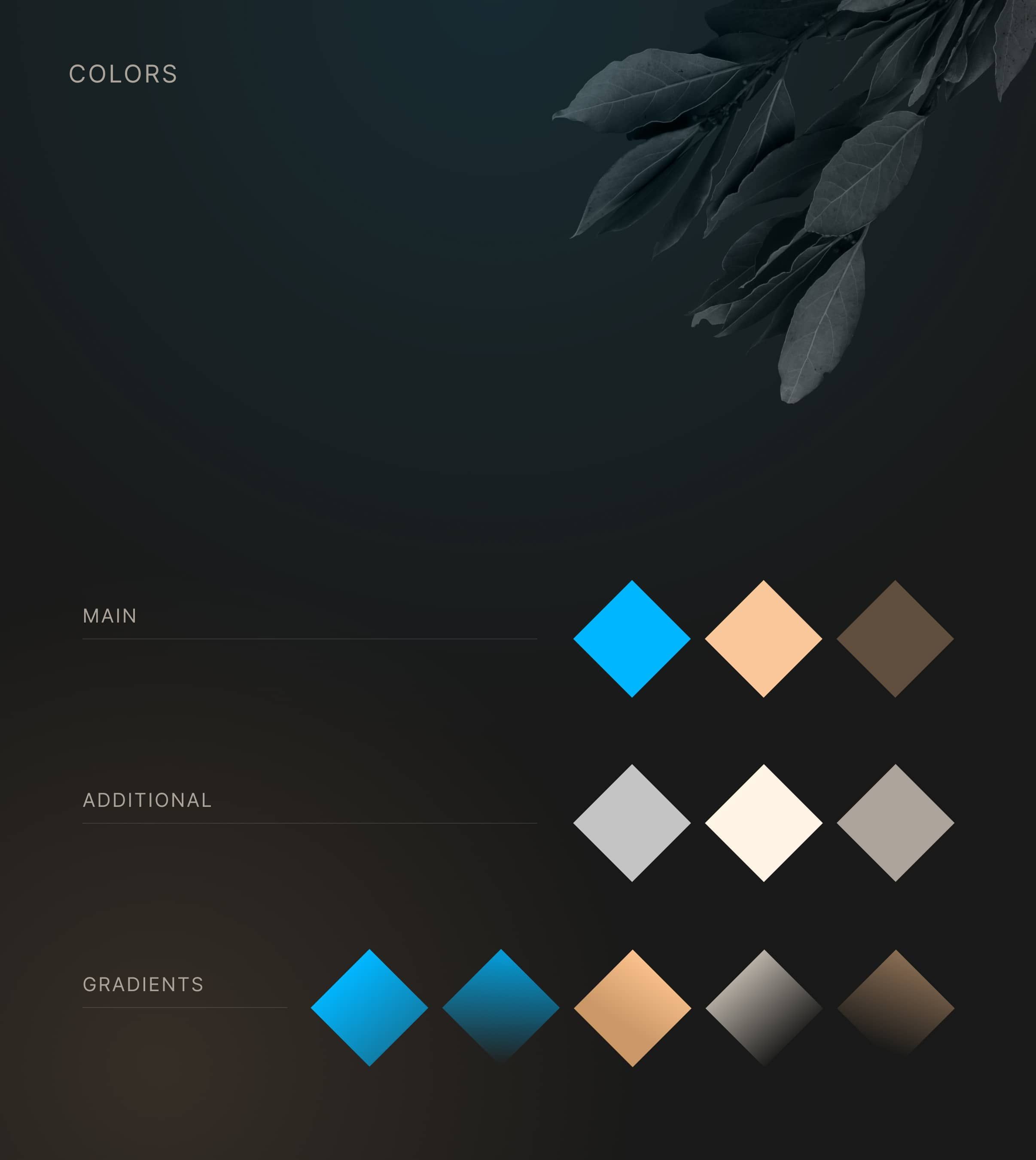 Acropolium colors visual identity