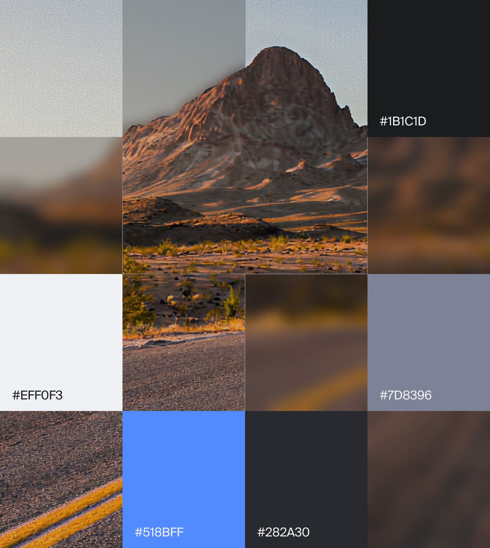 Valerann color palette