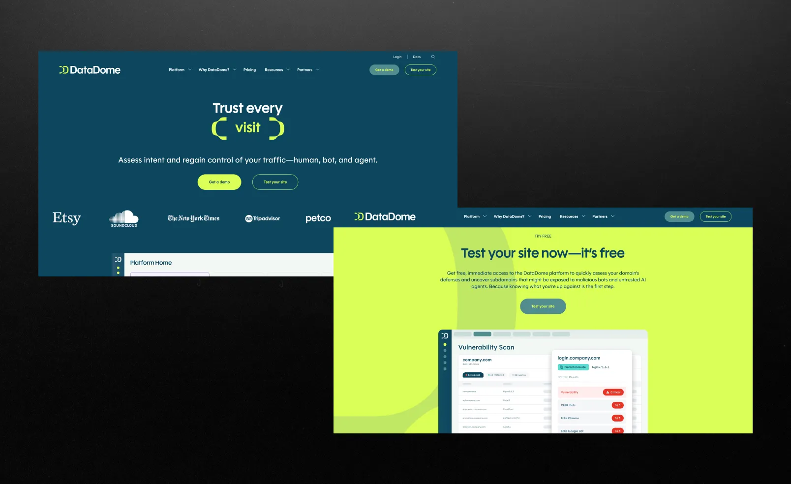 DataHome website homepage screen